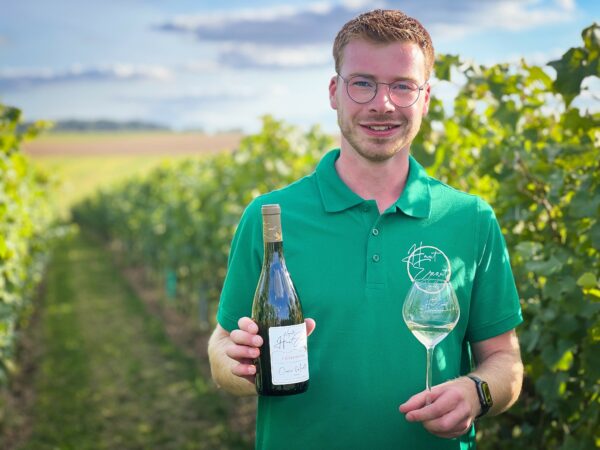 Visite du Vignoble du Haut-Escaut